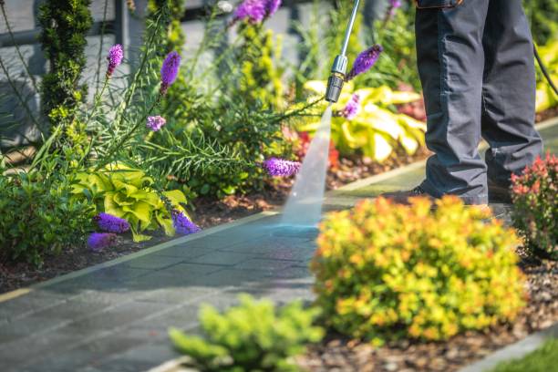 Best Soft Washing  in Sparrow Bush, NY